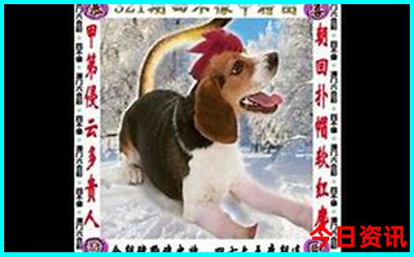 川西大环线五日游详细攻略